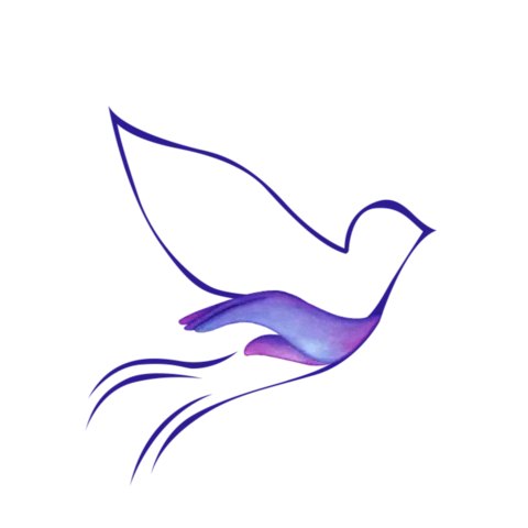 Calming Comfort Massage Therapy LLC logo
