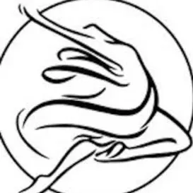 Northeast Ohio Dance, Inc. logo