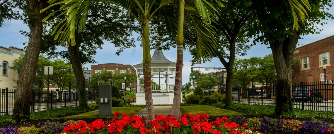 Flower beds and palm trees on the downtown square